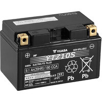 Yuasa Non-Spillable Maintenance Free Battery - YTZ10S