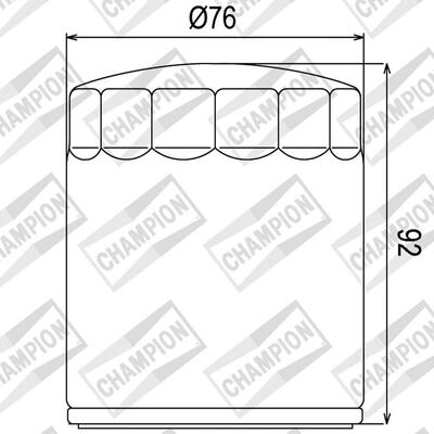 Champion Oil Filter Element - COF070C [Chrome]