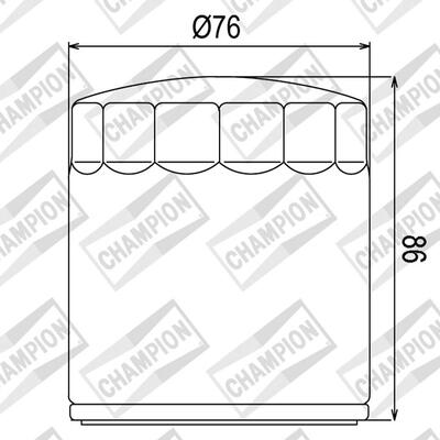 Champion Oil Filter Element - COF074C [Chrome]