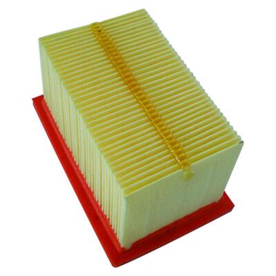 Champion Air Filter - CAF6601 - Bmw