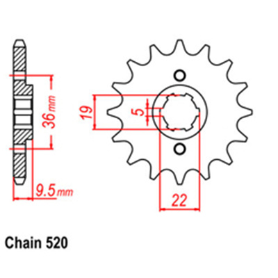 Front Sprocket - Steel  13T 520P