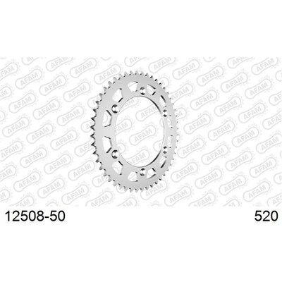 AFAM S50 520 YZ/WR 125/250/400 - 98