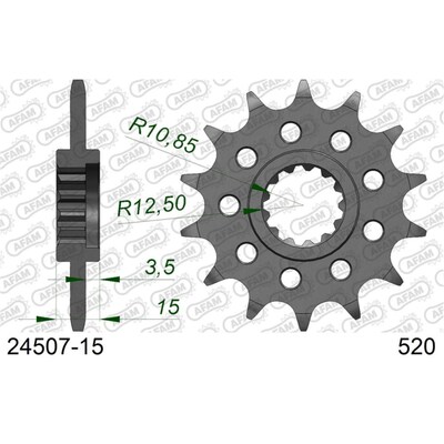 AFAM 15T Truimph TT600 - 520 Conversion