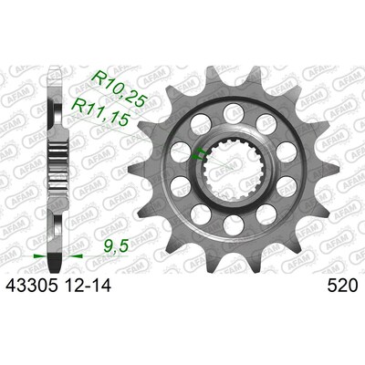 AFAM 13T 520 Sherco All 2021 -