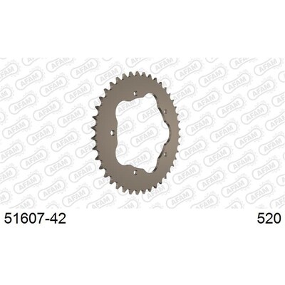 AFAM A42 520 Ducati Sprocket QC - Needs PCD1