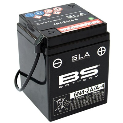 BS Battery Dry - 6N4-2A Battery - Inc Acid - Un2796/Class 8 - II