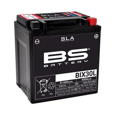 BS Battery Sla - Bix30L Battery - FA - Un2800/Class 8