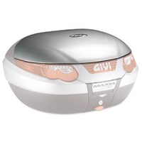 PAINTED LID FOR E55 CASE-SLV