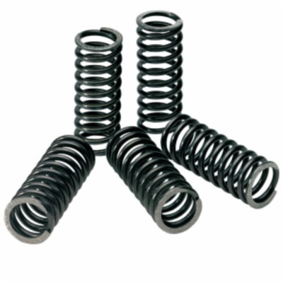 Pro Circuit Crf450R 2-08 Cr Clutch Springs - Cr250R 92-07