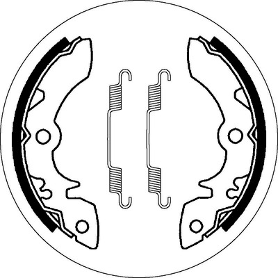 SBS 2051 Brake Shoes - With Springs