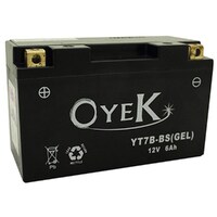 OYEK YB5L-B GEL AGM MAINT FREE