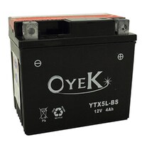 OYEK YTX7A-BS AGM MAINT FREE